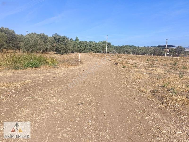 Karacaağaç'ta Satılık 2750 Metre Tarla — fotoğraf 8