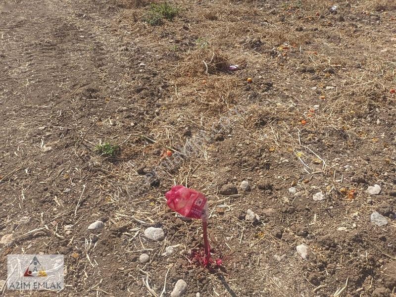 Karacaağaç'ta Satılık 2750 Metre Tarla — fotoğraf 9