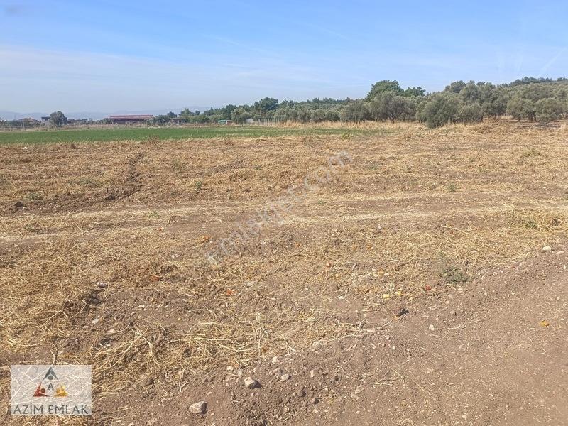 Karacaağaç'ta Satılık 2750 Metre Tarla — fotoğraf 11