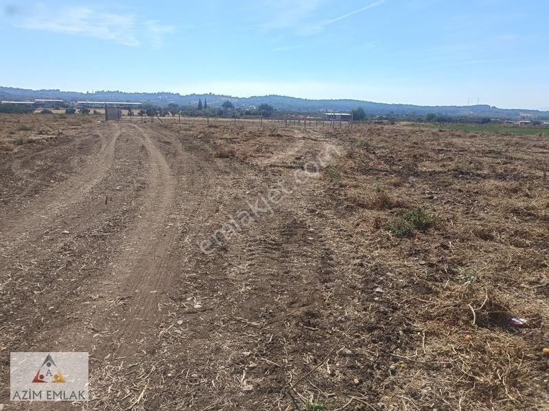 Karacaağaç'ta Satılık 2750 Metre Tarla — fotoğraf 12