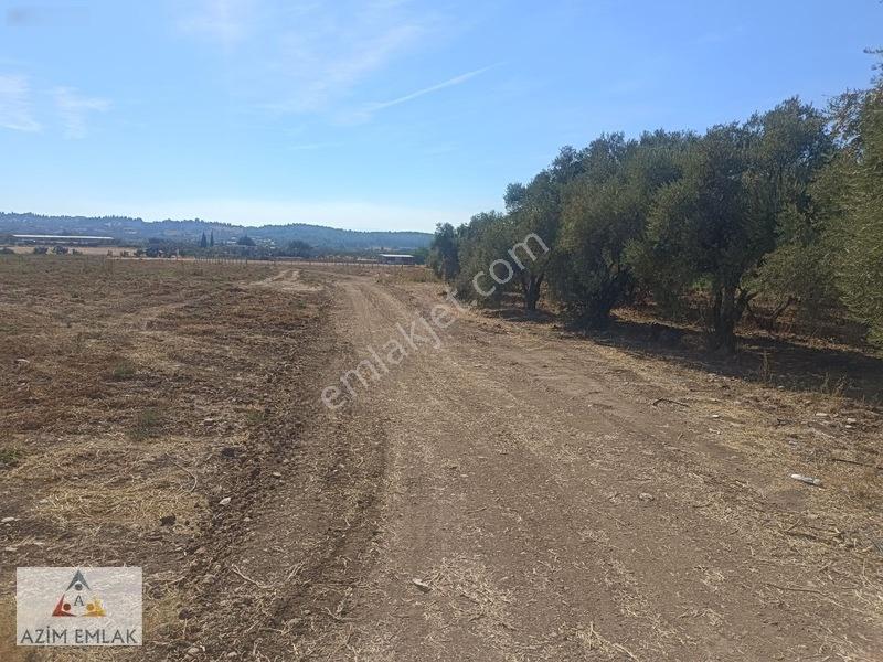 Karacaağaç'ta Satılık 2750 Metre Tarla — fotoğraf 14