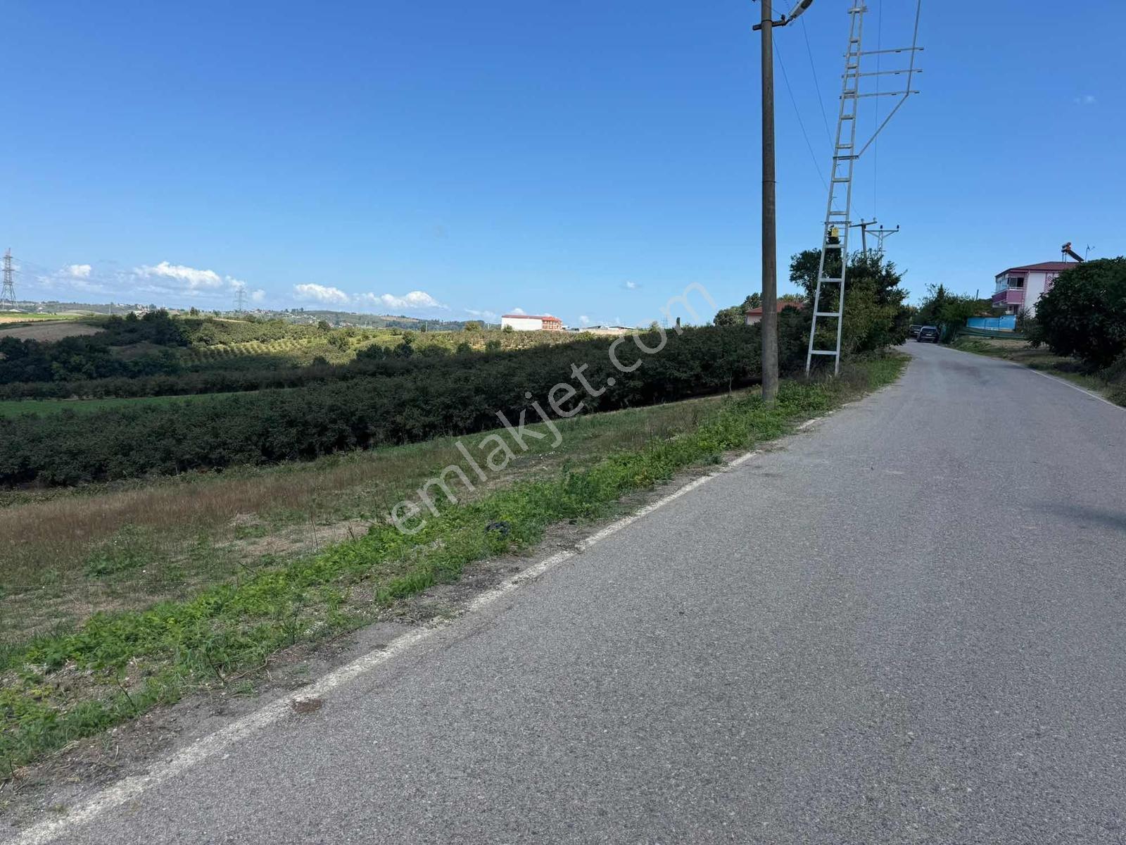 Denize 10 Km | %40 İmarlı | Kaynarca Gürpınarda Fırsat Arsalar — fotoğraf 3