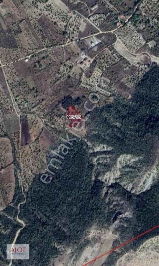 Bilecik Gölpazarı Satılık Fırsat Tarla