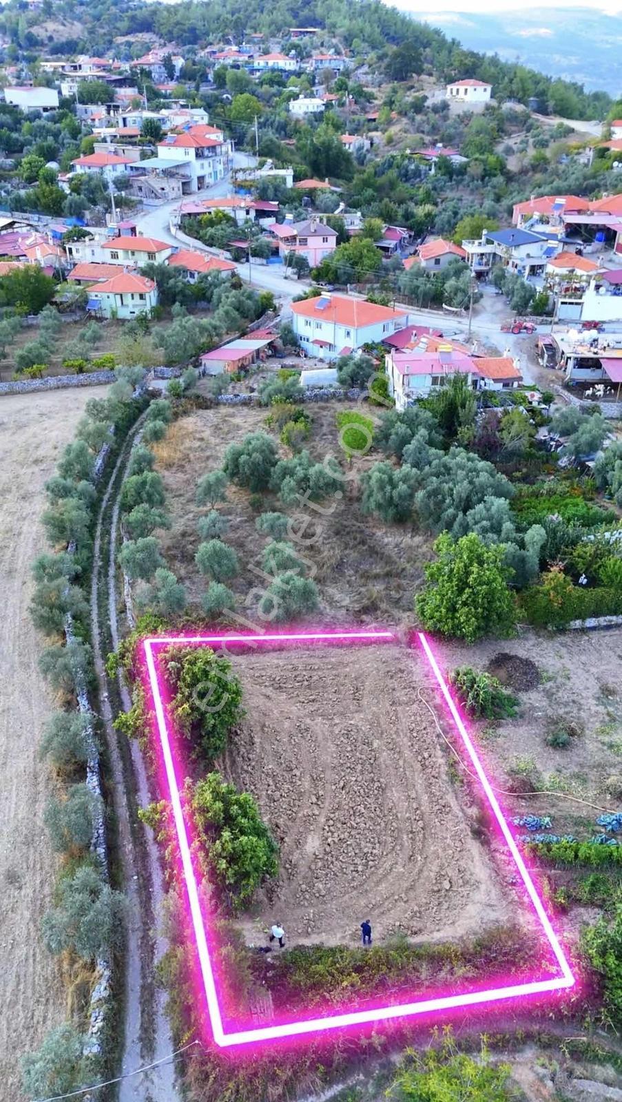 Muğla Denizovada 477 M² Tek Tapu | 250 M² İmarlı | Denize 15 Dk