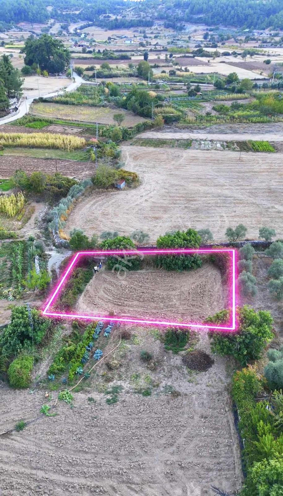 Muğla Denizovada 477 M² Tek Tapu | 250 M² İmarlı | Denize 15 Dk — fotoğraf 3