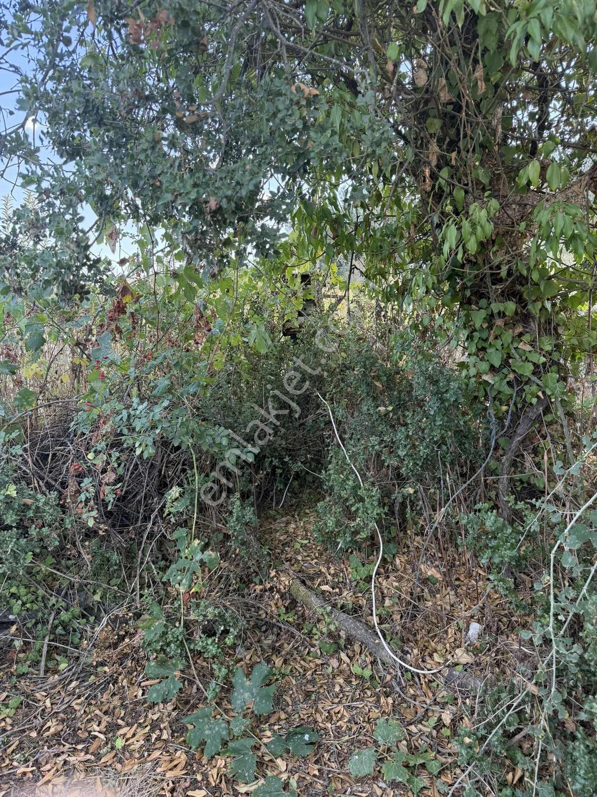 Muğla Denizovada 477 M² Tek Tapu | 250 M² İmarlı | Denize 15 Dk — fotoğraf 7