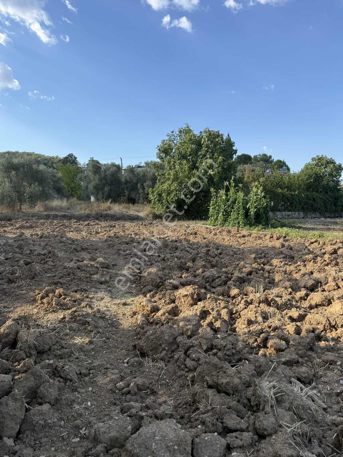Muğla Denizovada 477 M² Tek Tapu | 250 M² İmarlı | Denize 15 Dk — fotoğraf 9