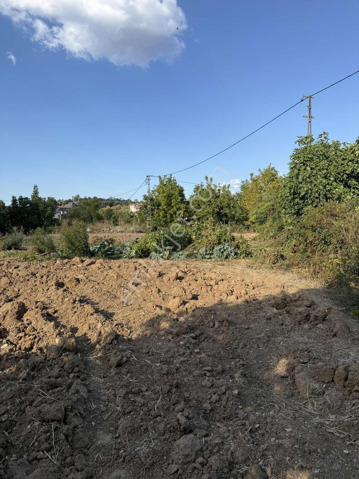 Muğla Denizovada 477 M² Tek Tapu | 250 M² İmarlı | Denize 15 Dk — fotoğraf 10