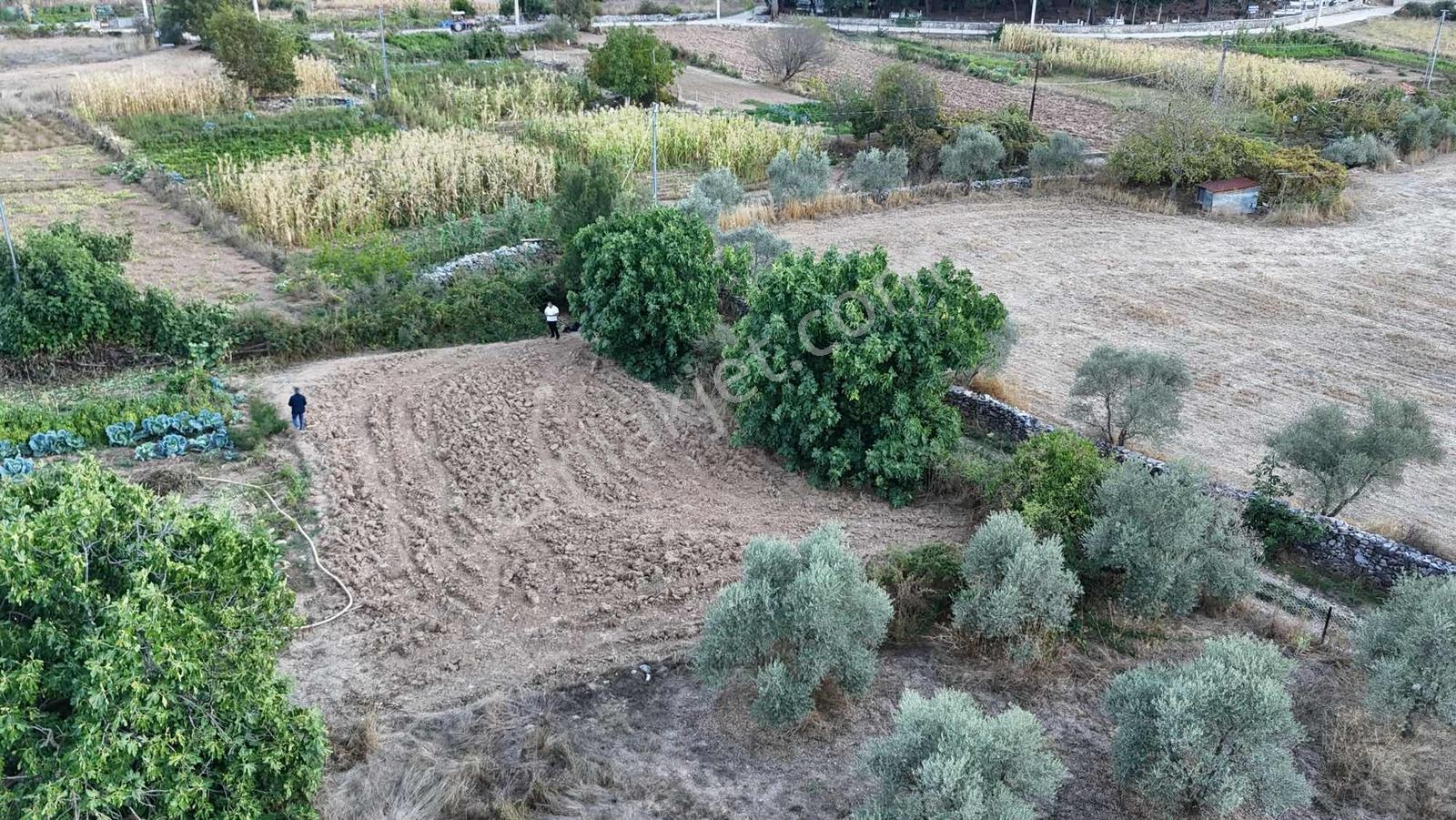 Muğla Denizovada 477 M² Tek Tapu | 250 M² İmarlı | Denize 15 Dk — fotoğraf 13