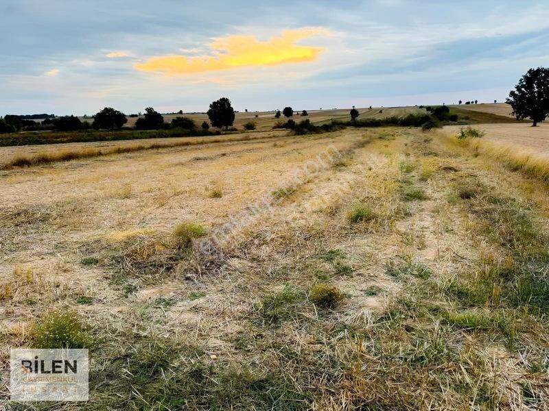 Kavakdere'De Yolu Açık Yerleşime Yakın 258 M² Parseller