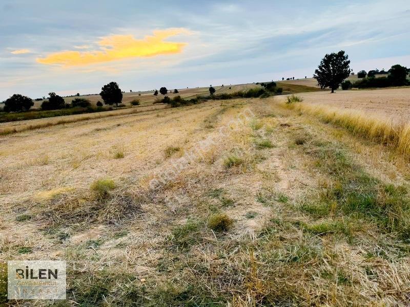 Kavakdere'de Yolu Açık Yerleşime Yakın 258 M² Parseller — fotoğraf 2