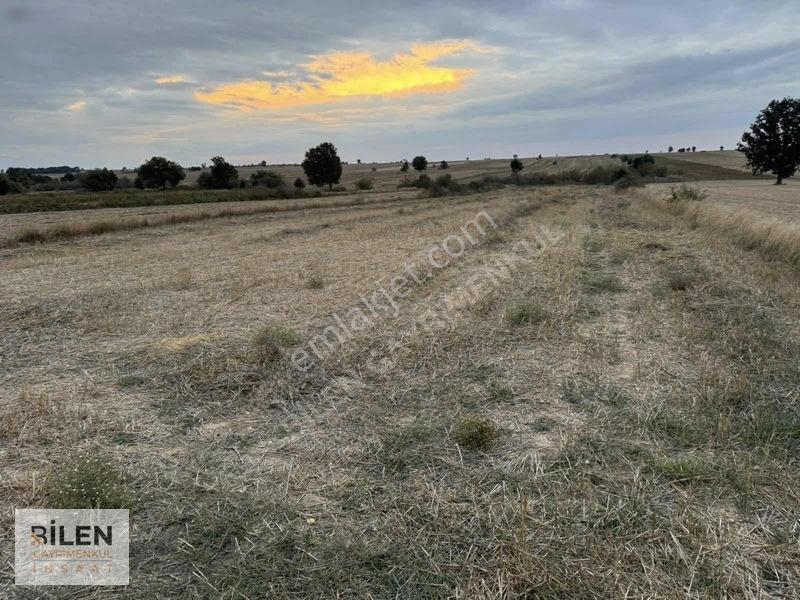 Kavakdere'de Yolu Açık Yerleşime Yakın 258 M² Parseller — fotoğraf 4
