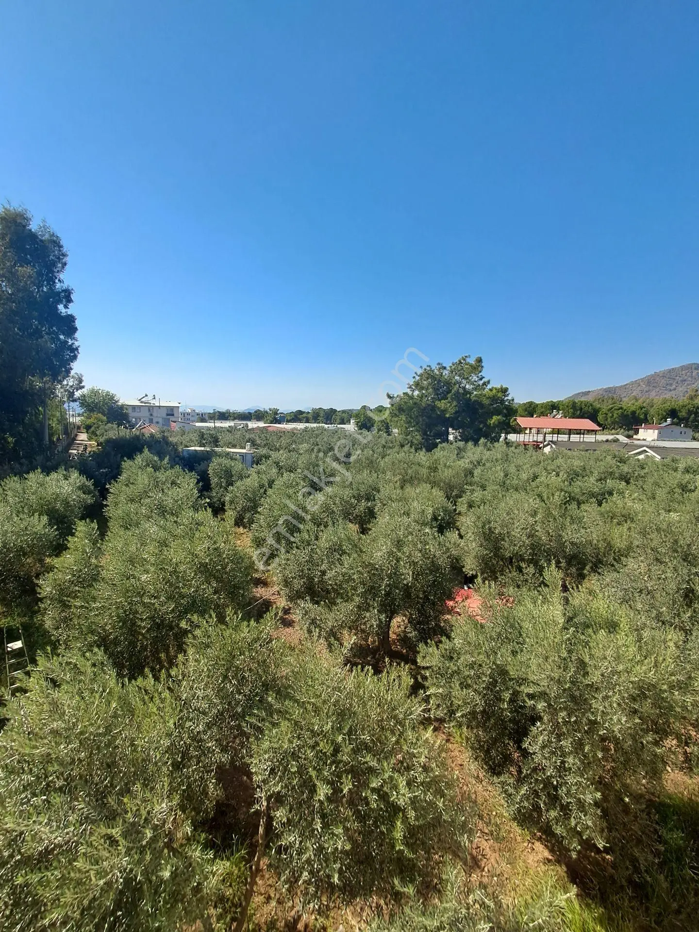 Fethiye Çamkoy Eldırekde Imar Sinirinda 1400m2 Satılık Müstakil Tapu Arazi — fotoğraf 2