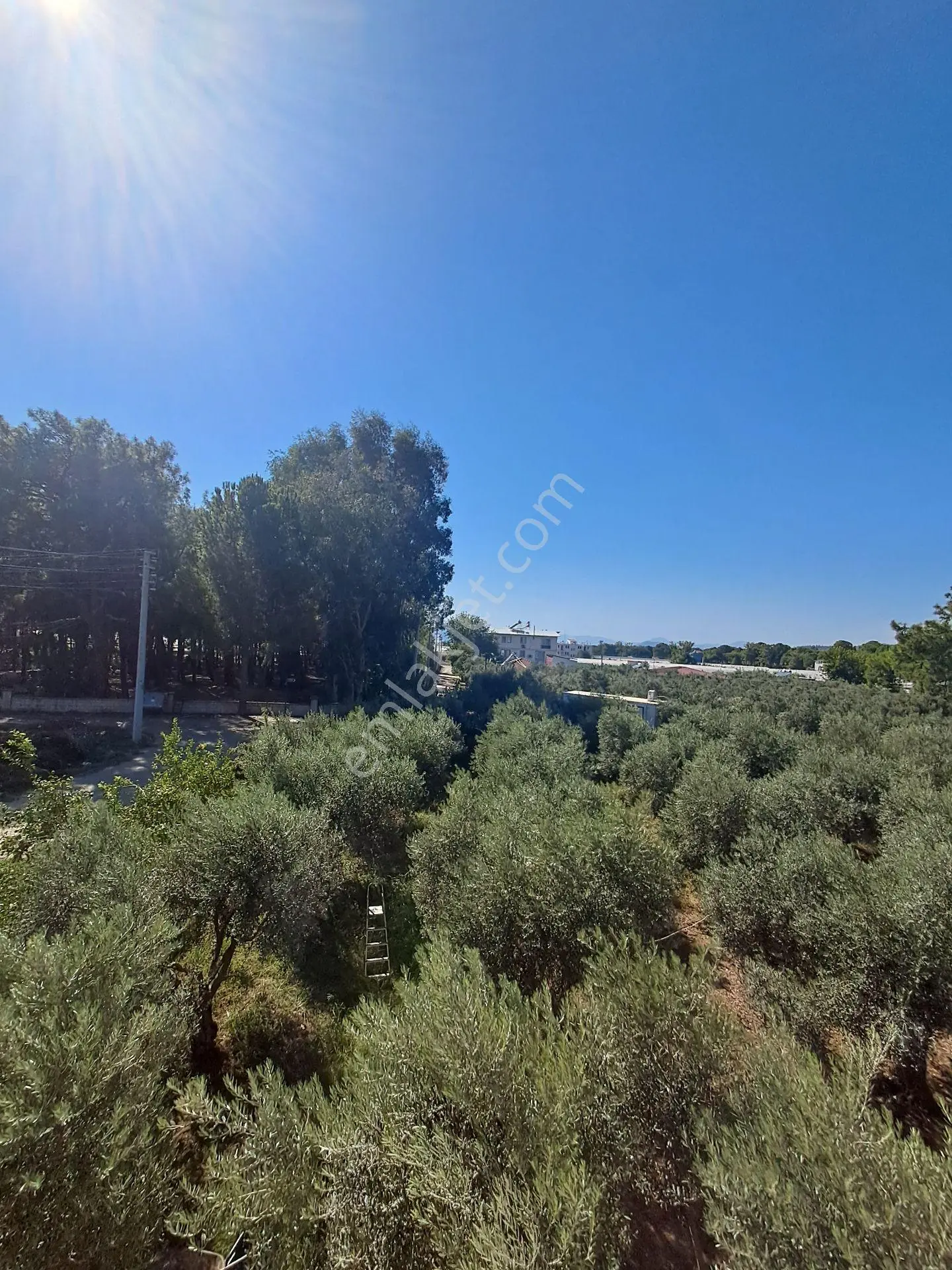 Fethiye Çamkoy Eldırekde Imar Sinirinda 1400m2 Satılık Müstakil Tapu Arazi — fotoğraf 3