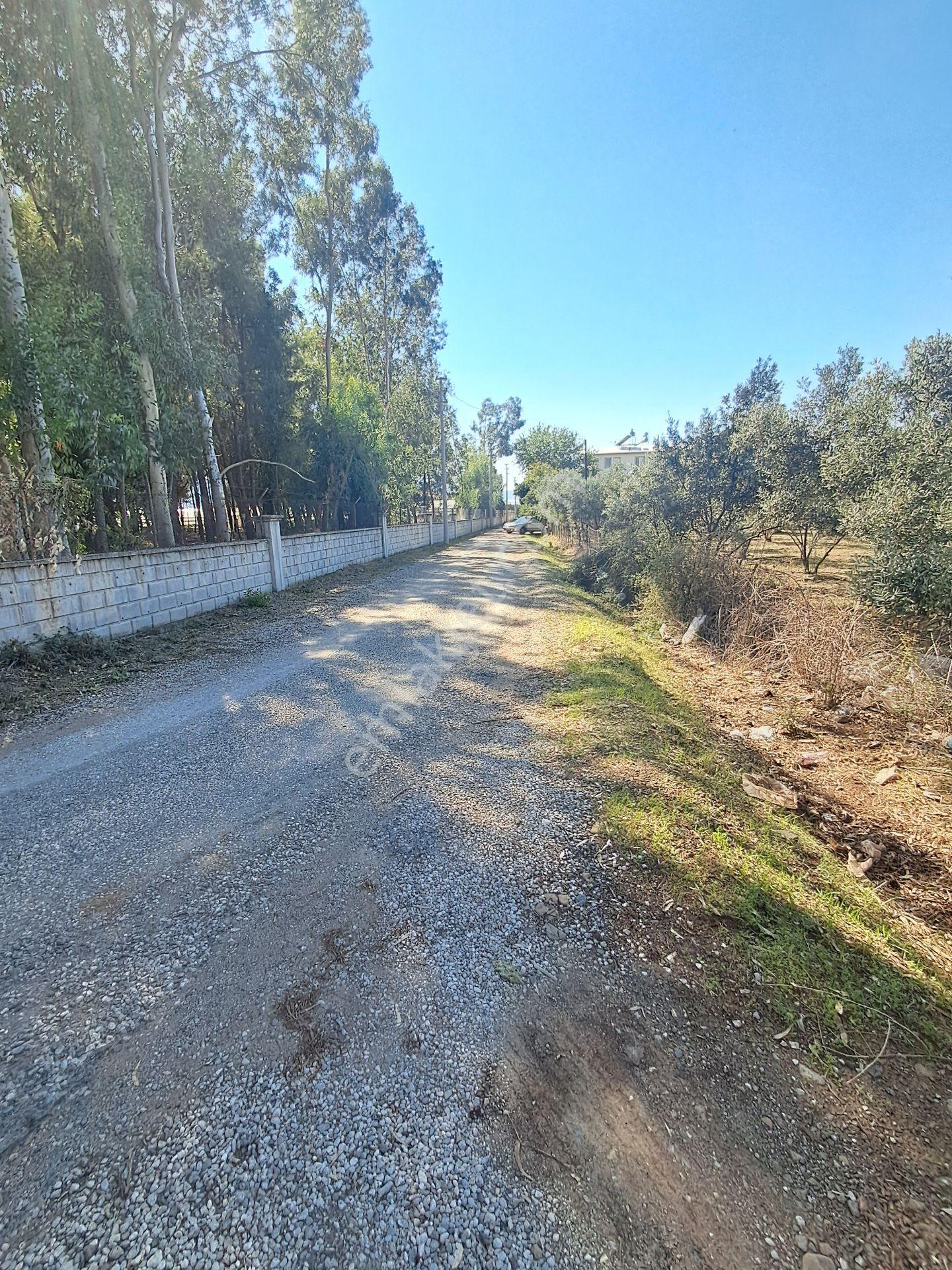 Fethiye Çamkoy Eldırekde Imar Sinirinda 1400m2 Satılık Müstakil Tapu Arazi — fotoğraf 6