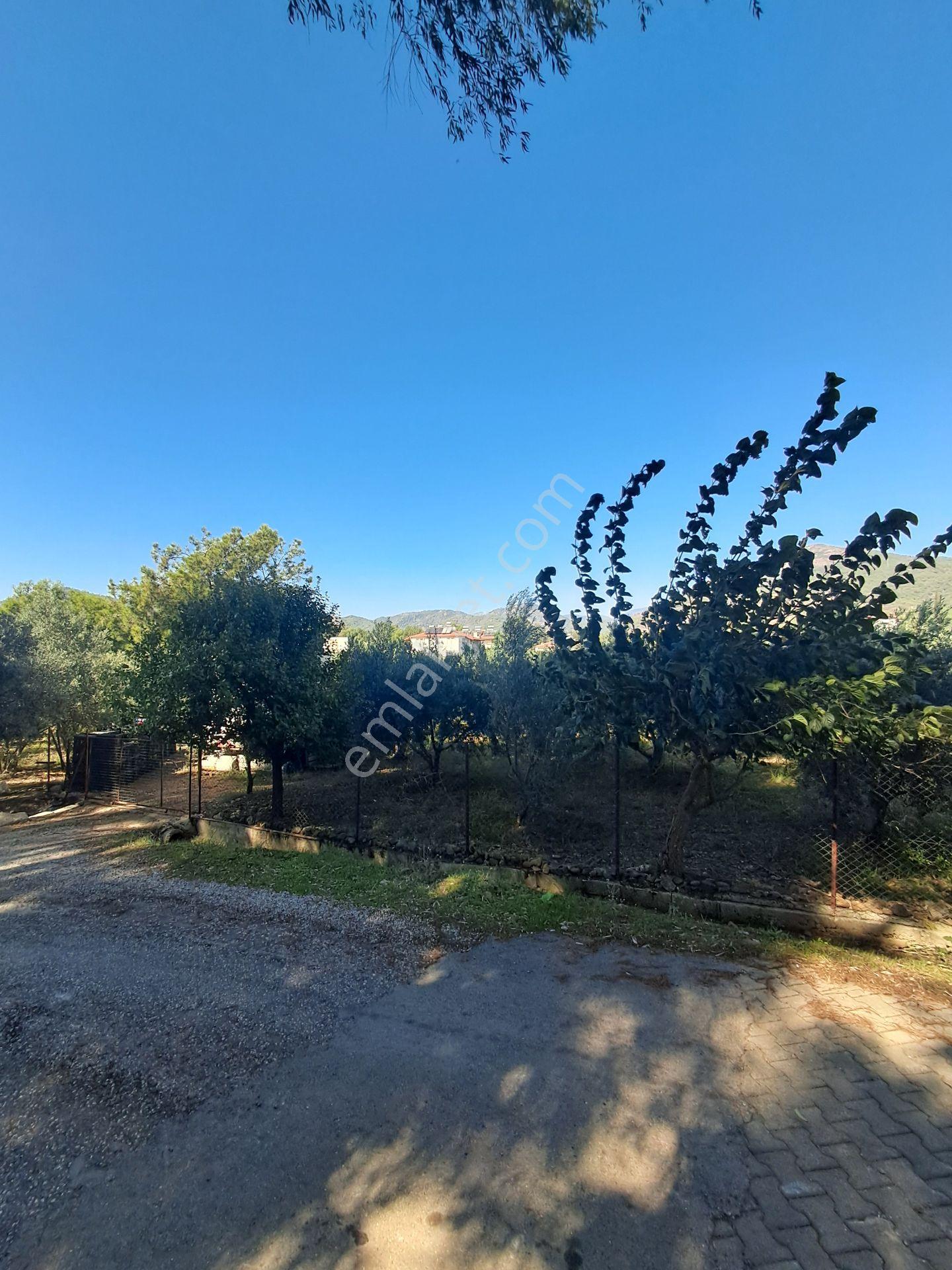 Fethiye Çamkoy Eldırekde Imar Sinirinda 1400m2 Satılık Müstakil Tapu Arazi — fotoğraf 7
