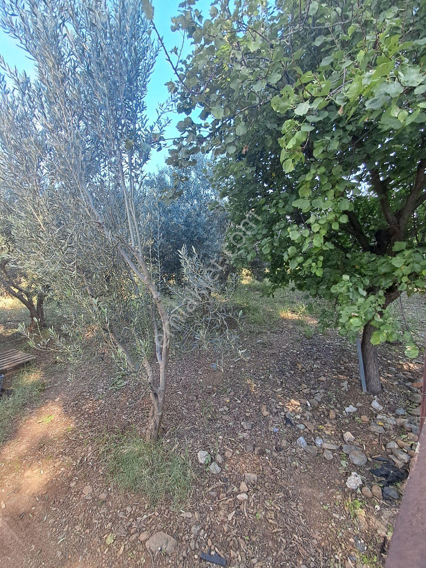 Fethiye Çamkoy Eldırekde Imar Sinirinda 1400m2 Satılık Müstakil Tapu Arazi — fotoğraf 9