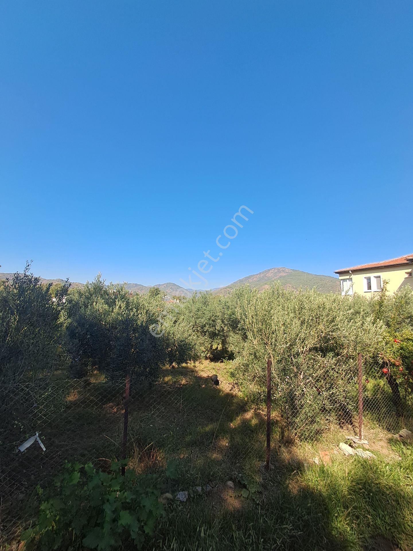 Fethiye Çamkoy Eldırekde Imar Sinirinda 1400m2 Satılık Müstakil Tapu Arazi — fotoğraf 10
