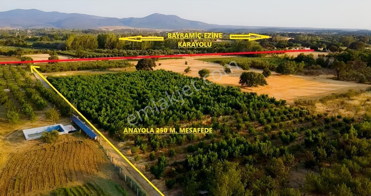 Çanakkale Bayramiç Satılık Meyvelik — fotoğraf 11