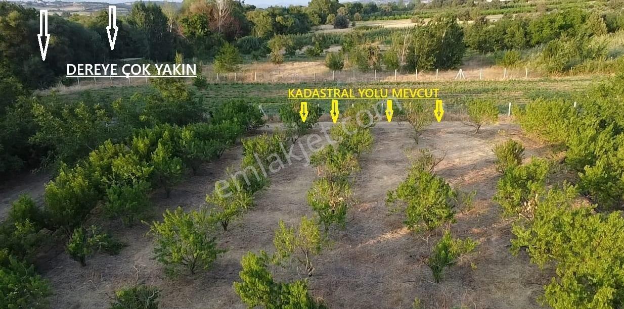 Çanakkale Bayramiç Satılık Meyvelik — fotoğraf 12