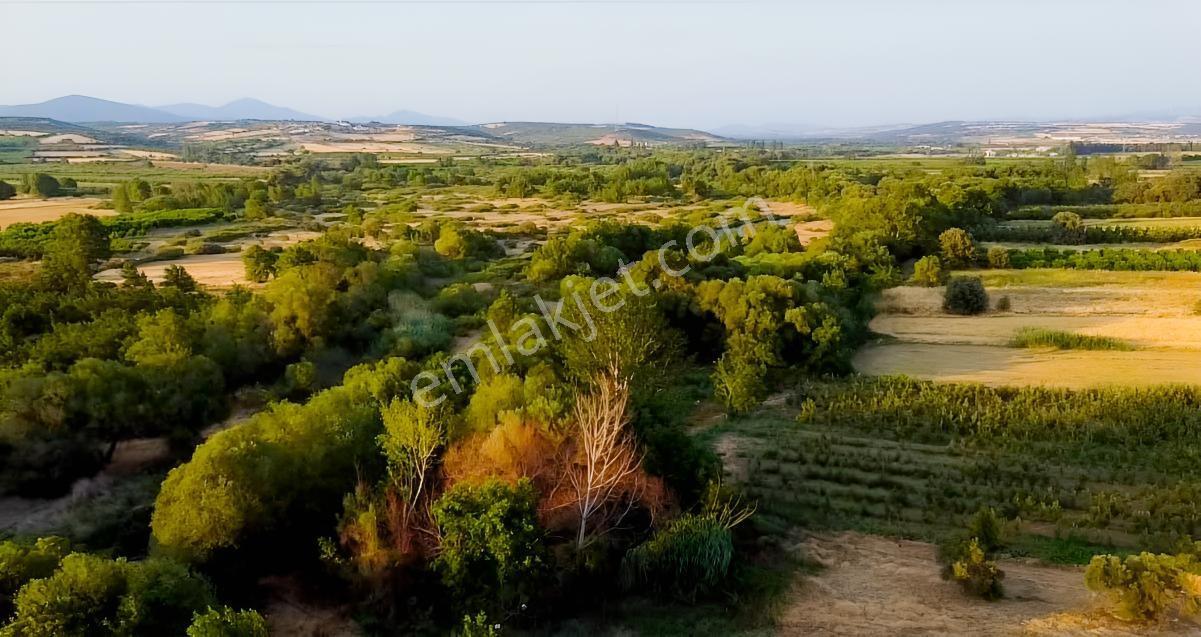 Çanakkale Bayramiç Satılık Meyvelik — fotoğraf 23