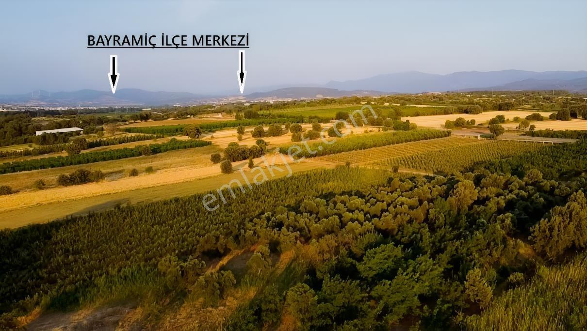 Çanakkale Bayramiç Satılık Meyvelik — fotoğraf 25