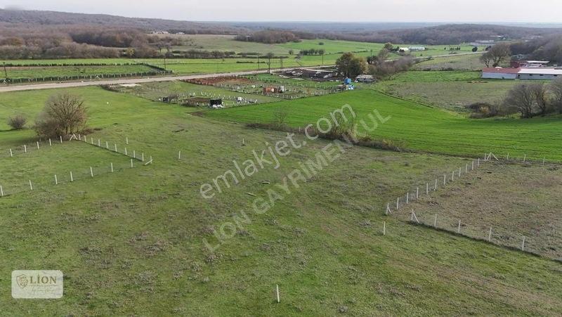 Saray Merkeze Yakın Çaplı Muvafakatnameli 1.570 M² — fotoğraf 6