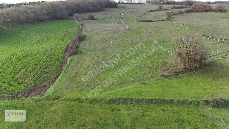 Saray Merkeze Yakın Çaplı Muvafakatnameli 1.570 M² — fotoğraf 8