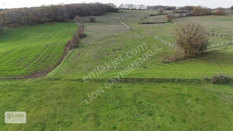 Saray Merkeze Yakın Çaplı Muvafakatnameli 1.570 M² — fotoğraf 9