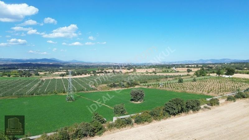 Bayramiç Pınarbaşında Yolu Ve Suyu Olan Satılık 9 Dönüm Tarla
