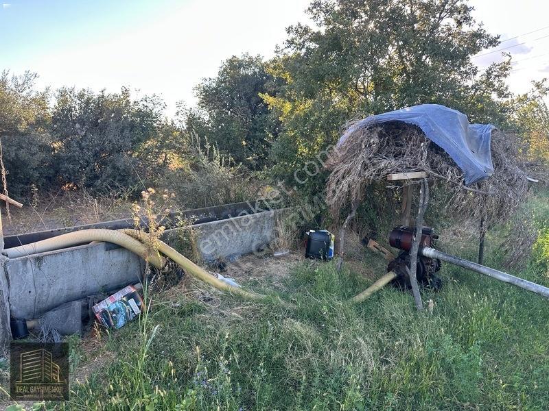 Bayramiç Pınarbaşında Yolu Ve Suyu Olan Satılık 9 Dönüm Tarla — fotoğraf 4