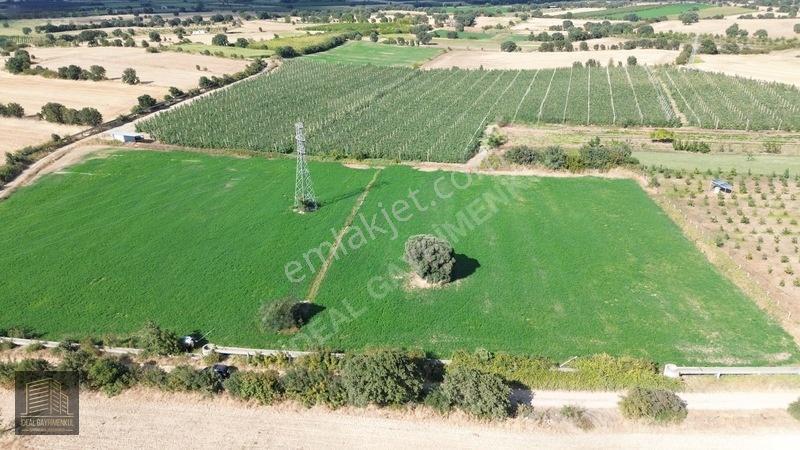 Bayramiç Pınarbaşında Yolu Ve Suyu Olan Satılık 9 Dönüm Tarla — fotoğraf 6