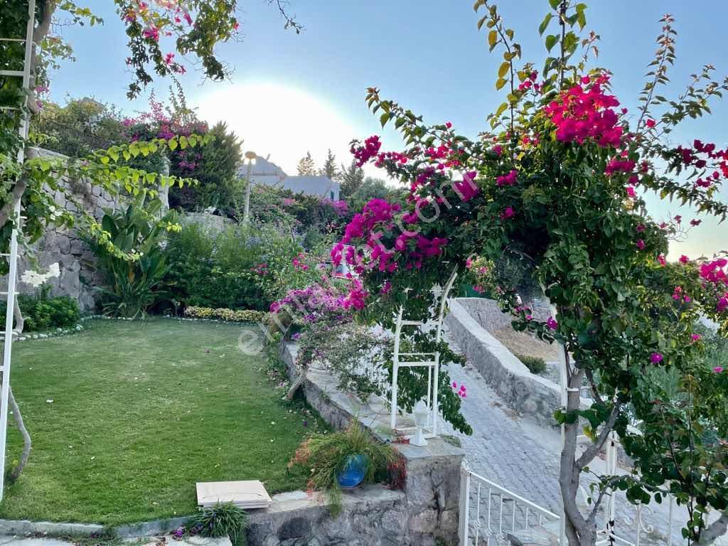 Türkbükü Hekimköy Sitesi Satılık Tam Müstakil 3+1 Villa — fotoğraf 5