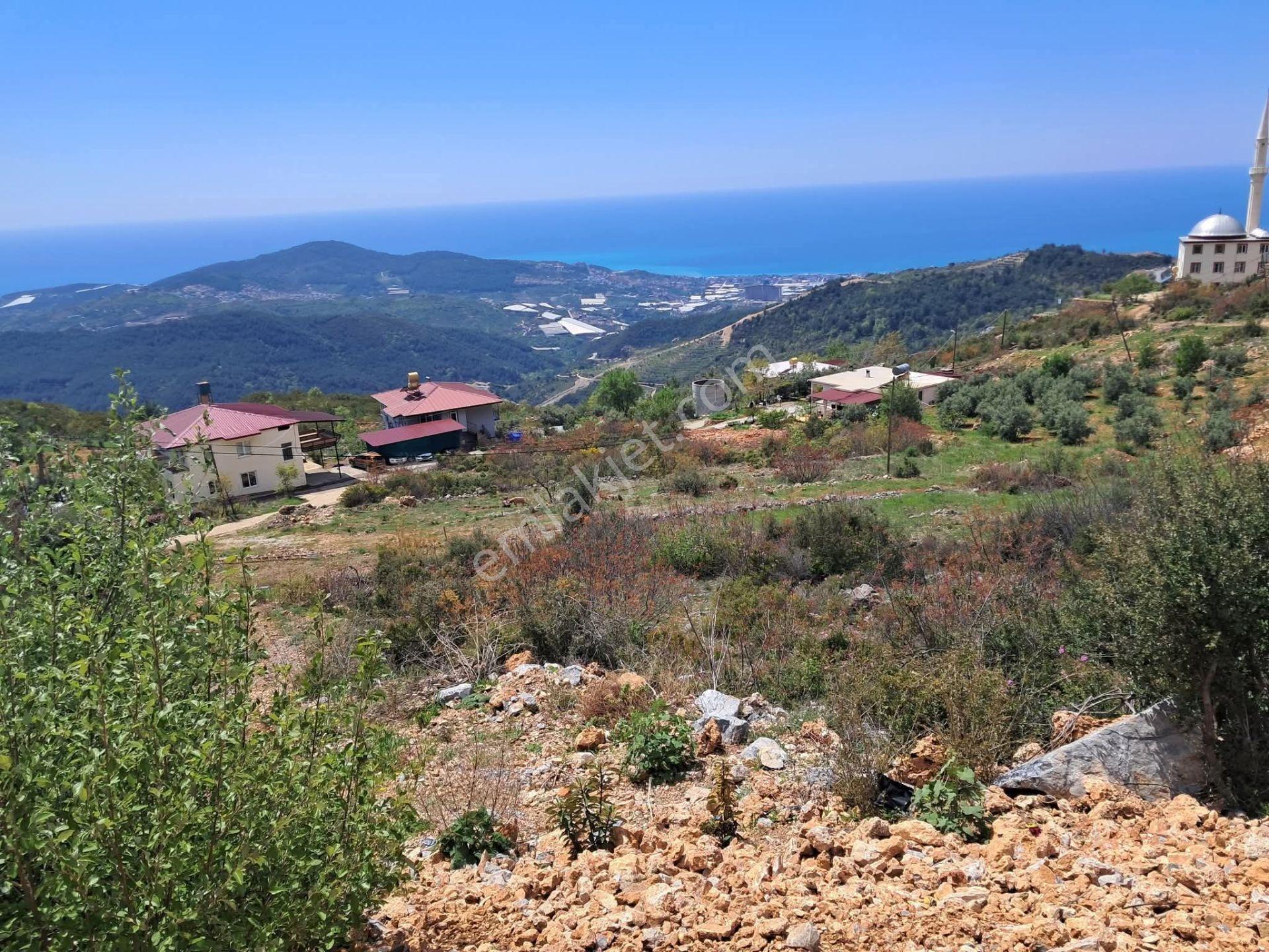 621 M2 Köy Yerleşim Yeri İçindeki Yerimiz — fotoğraf 6