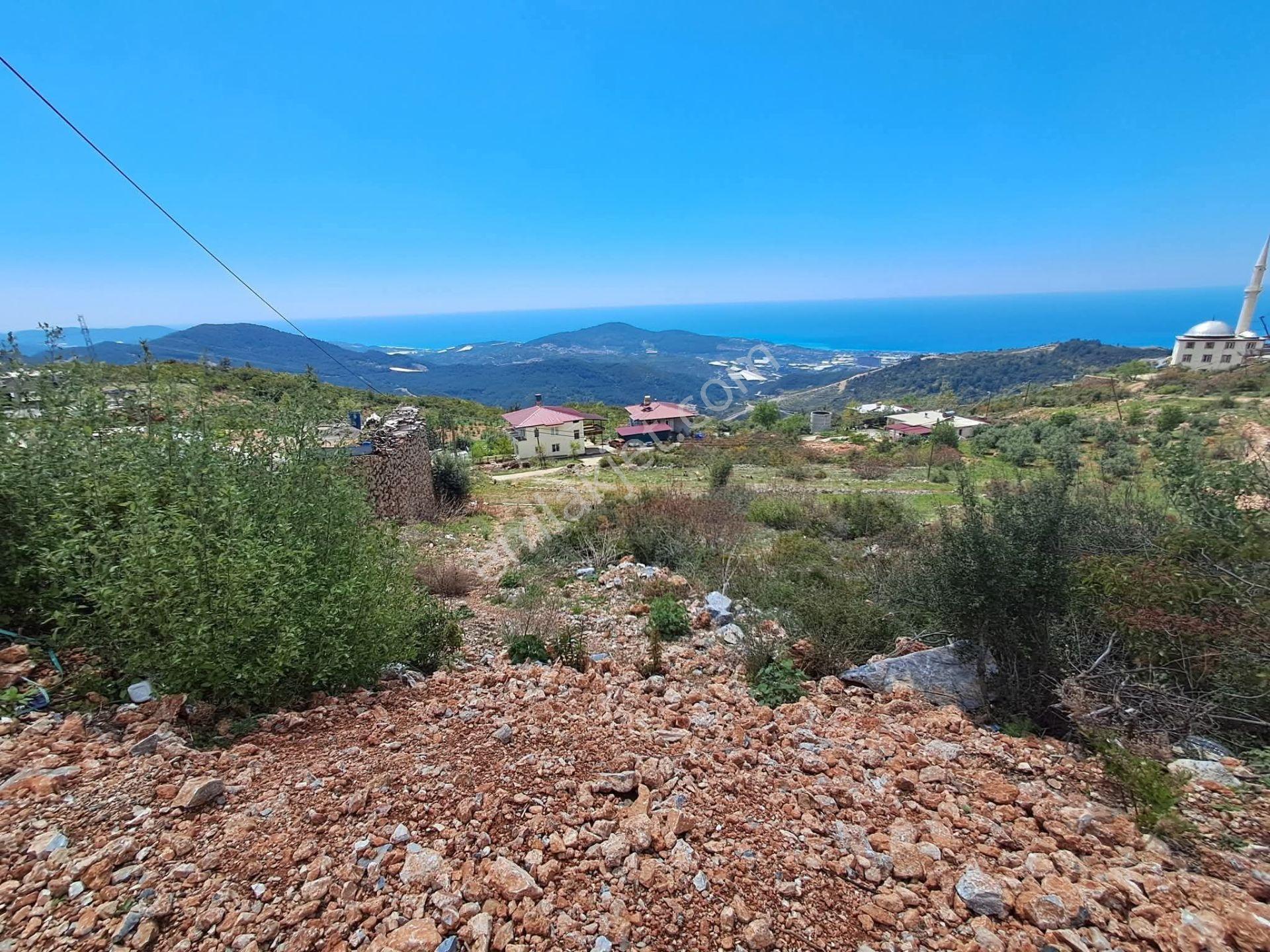 621 M2 Köy Yerleşim Yeri İçindeki Yerimiz — fotoğraf 7
