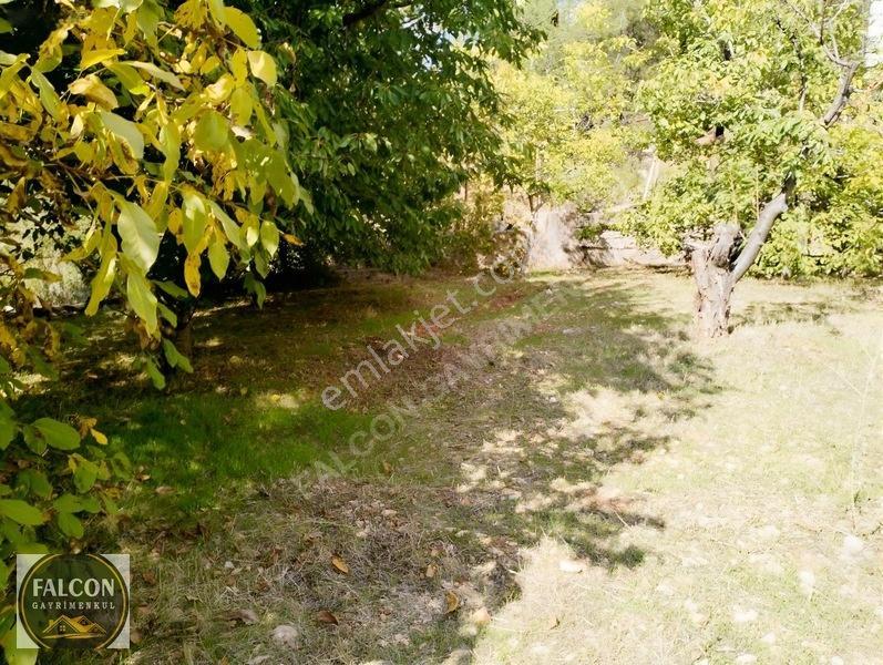 Falcon Dan Nif De Köyiçi İmarlı 640m² — fotoğraf 3