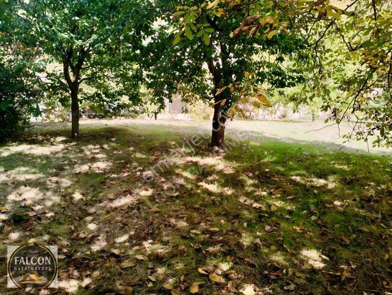 Falcon Dan Nif De Köyiçi İmarlı 640m² — fotoğraf 4