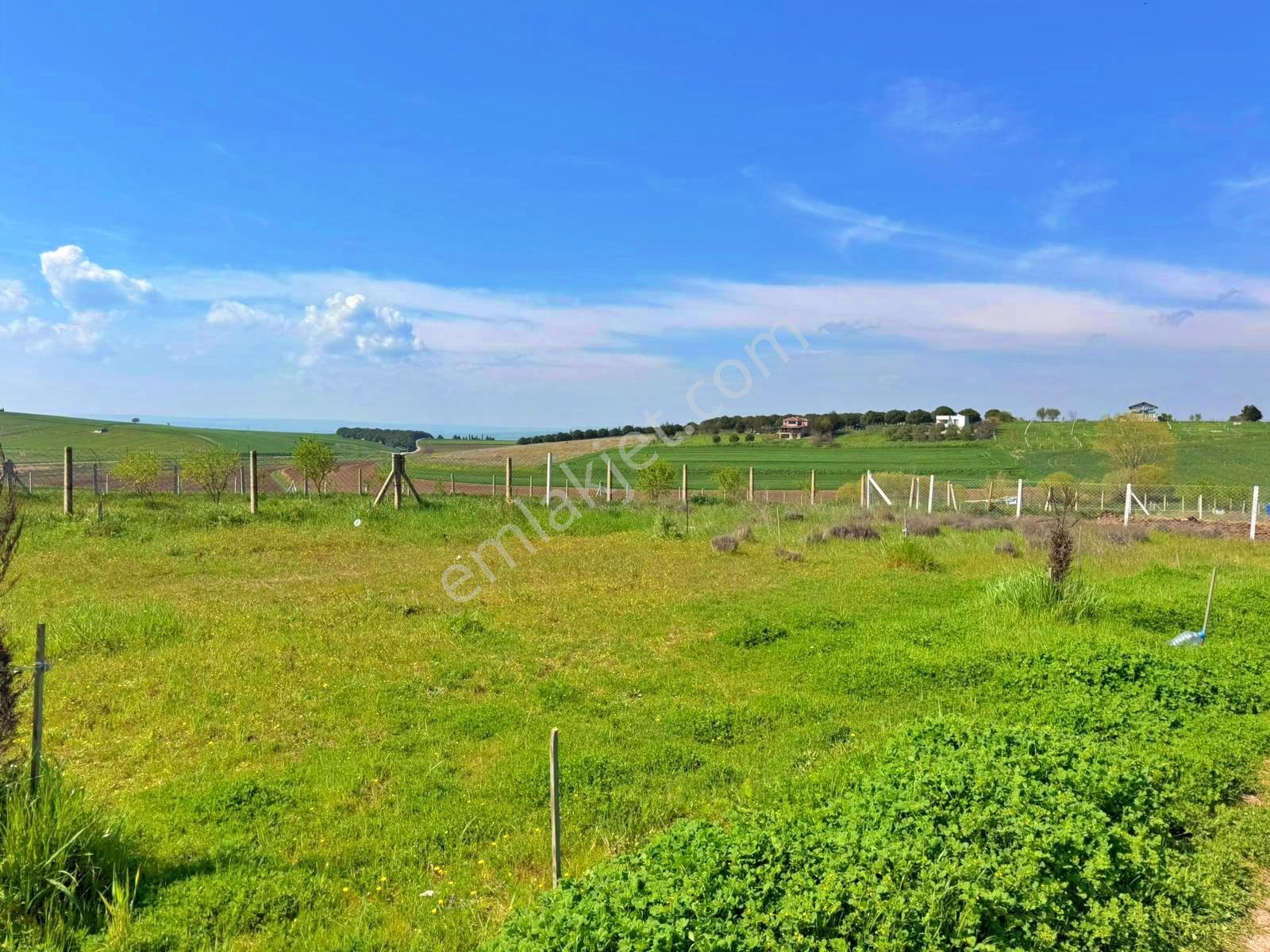 Hayalini Erteleme Çeşmelinin En Prestijli Bölgesinde Arsafırsatı — fotoğraf 15