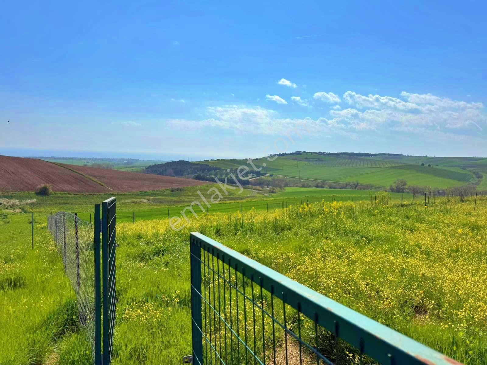 Hayalini Erteleme Çeşmelinin En Prestijli Bölgesinde Arsafırsatı — fotoğraf 17
