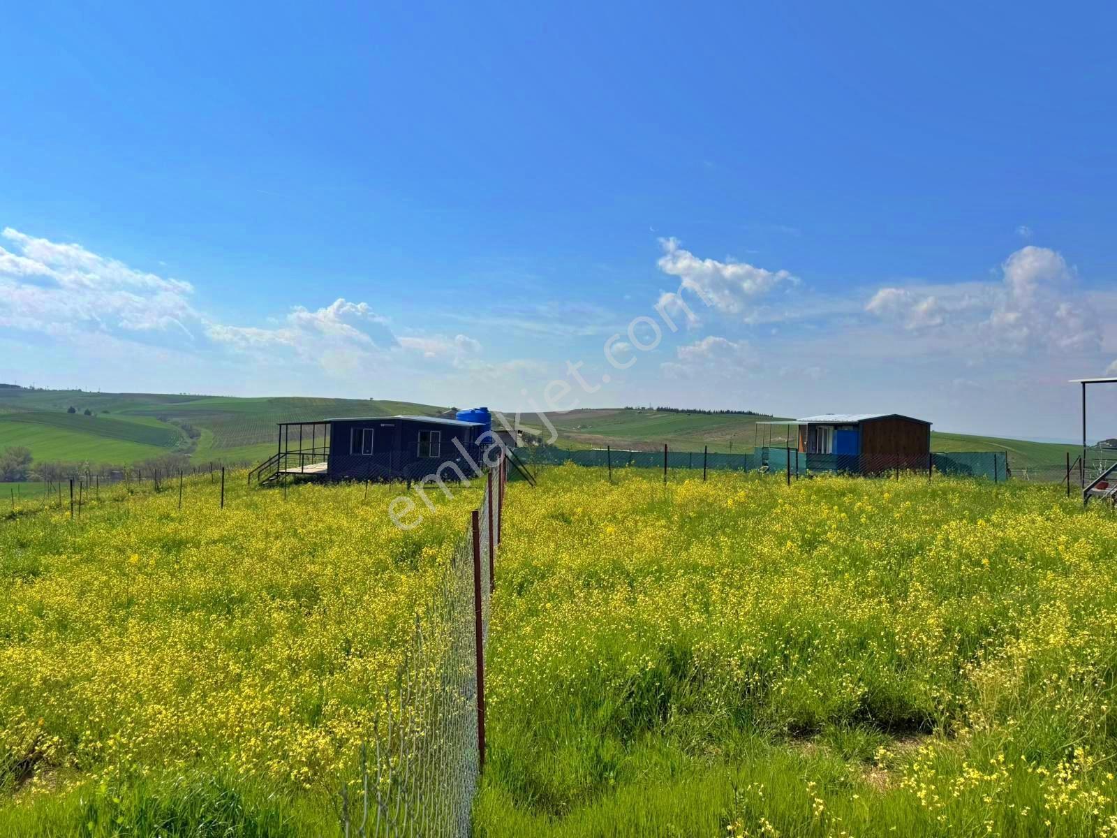 Hayalini Erteleme Çeşmelinin En Prestijli Bölgesinde Arsafırsatı — fotoğraf 23