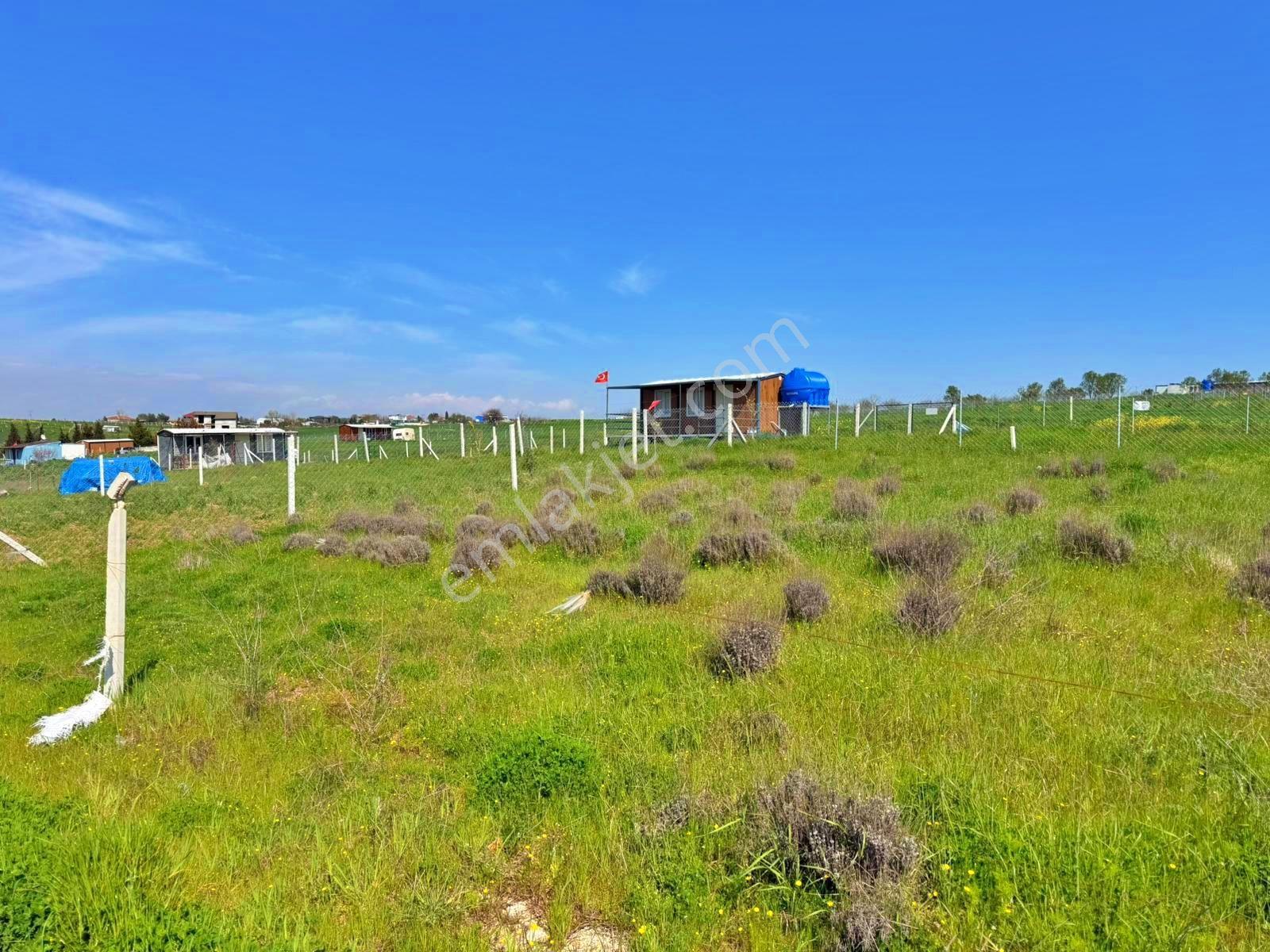 Hayalini Erteleme Çeşmelinin En Prestijli Bölgesinde Arsafırsatı — fotoğraf 31