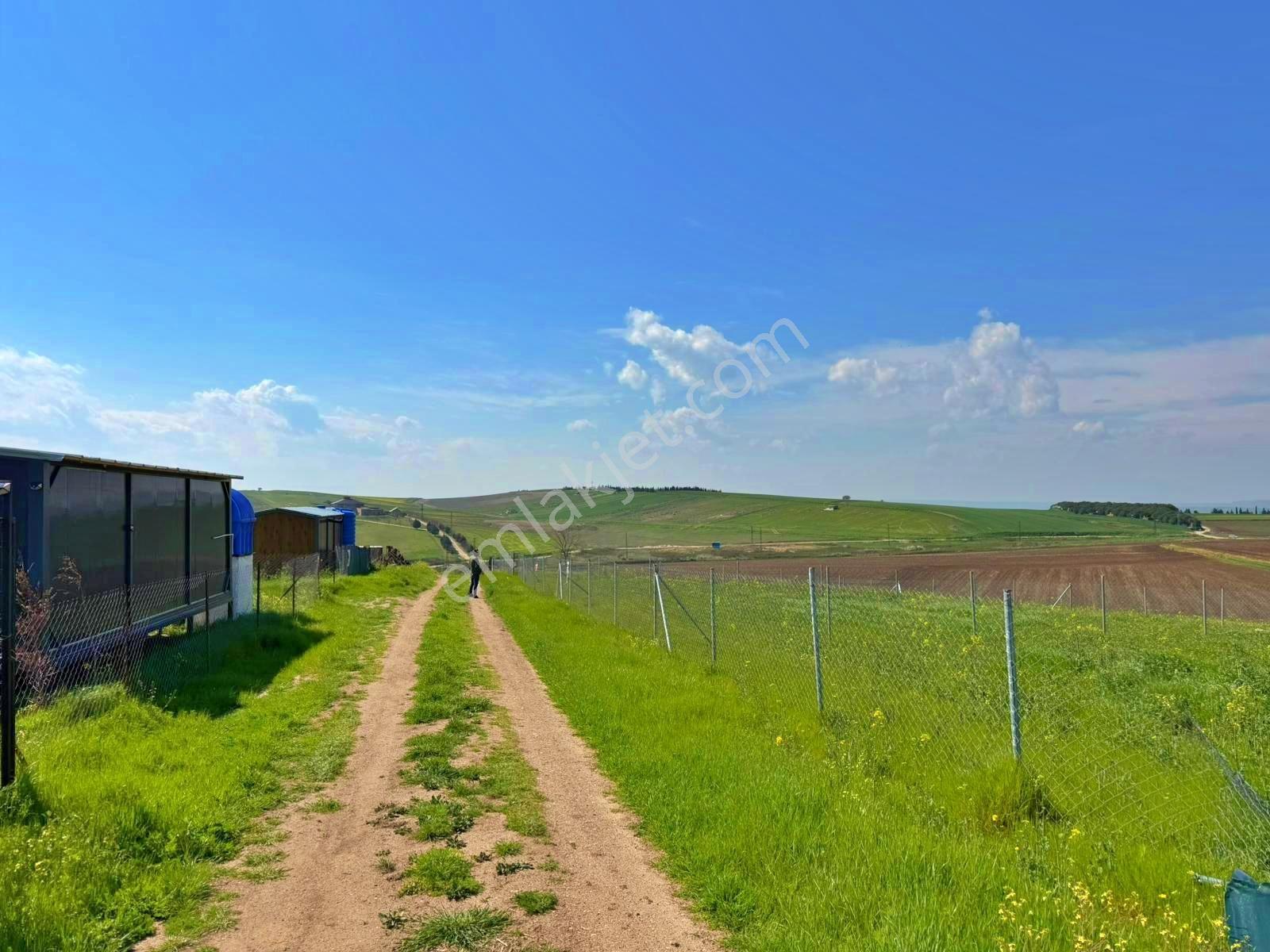 Hayalini Erteleme Çeşmelinin En Prestijli Bölgesinde Arsafırsatı — fotoğraf 32