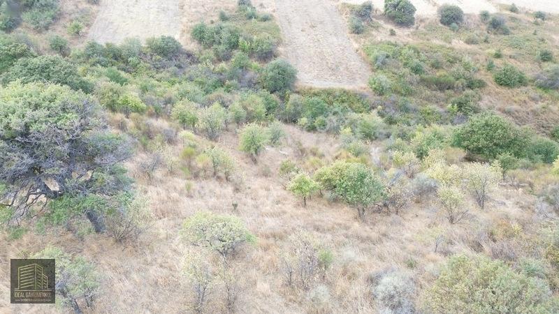 Verimli Toprakta 3 Dönüm Fırsat: Lapseki Şefketiyede Yatırımlık — fotoğraf 2