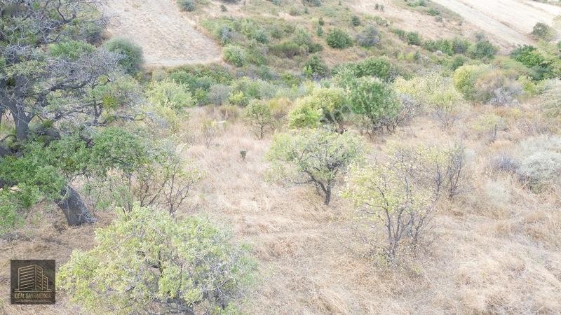 Verimli Toprakta 3 Dönüm Fırsat: Lapseki Şefketiyede Yatırımlık — fotoğraf 4