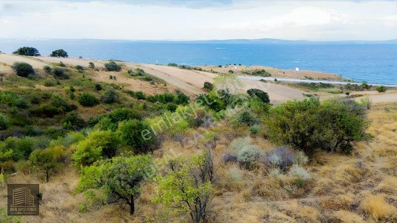 Verimli Toprakta 3 Dönüm Fırsat: Lapseki Şefketiyede Yatırımlık — fotoğraf 5