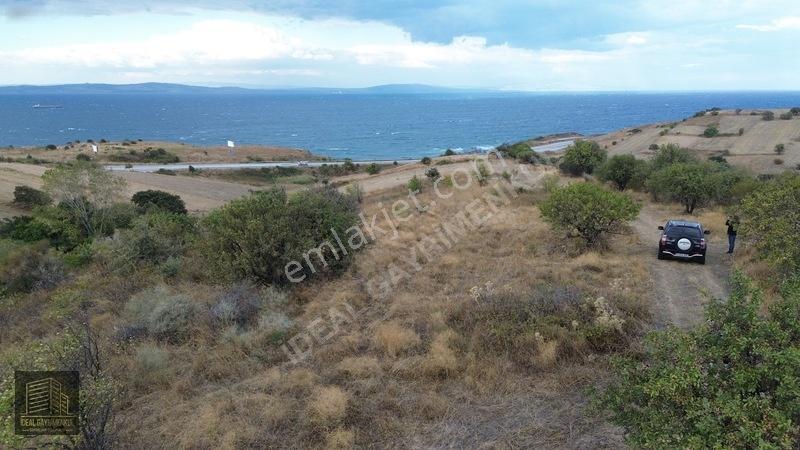 Verimli Toprakta 3 Dönüm Fırsat: Lapseki Şefketiyede Yatırımlık — fotoğraf 8