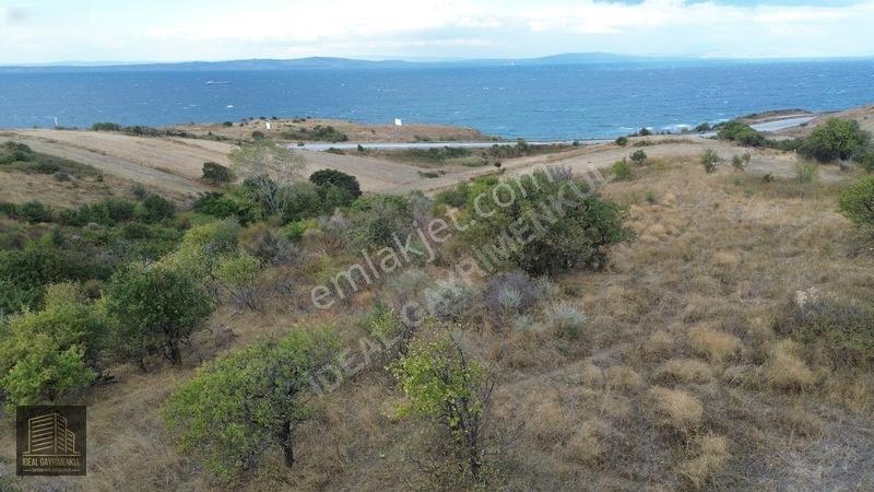 Verimli Toprakta 3 Dönüm Fırsat: Lapseki Şefketiyede Yatırımlık — fotoğraf 10