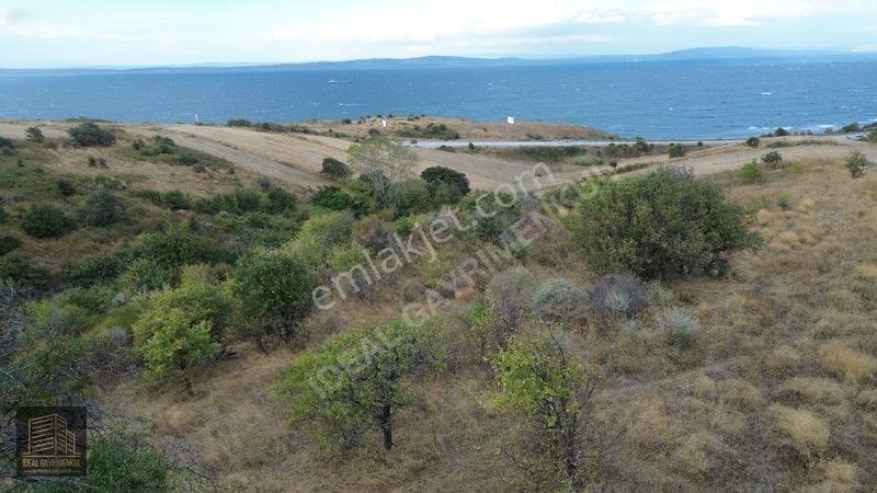 Verimli Toprakta 3 Dönüm Fırsat: Lapseki Şefketiyede Yatırımlık — fotoğraf 11