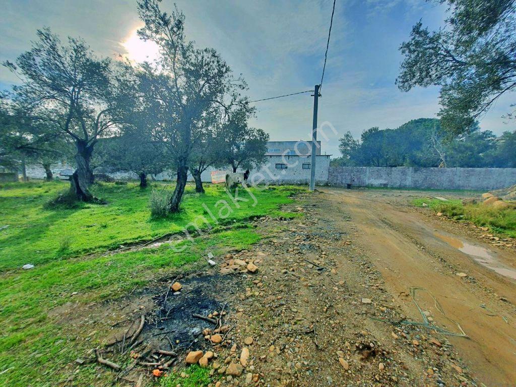 Uytundan Zeytinlide Yola Cepheli %30 İmarlı Satılık Villa Arsası — fotoğraf 11