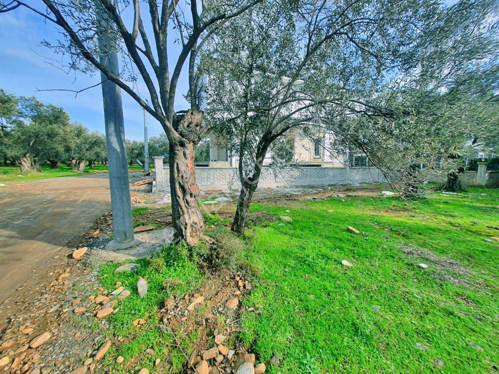 Uytundan Zeytinlide Yola Cepheli %30 İmarlı Satılık Villa Arsası — fotoğraf 12